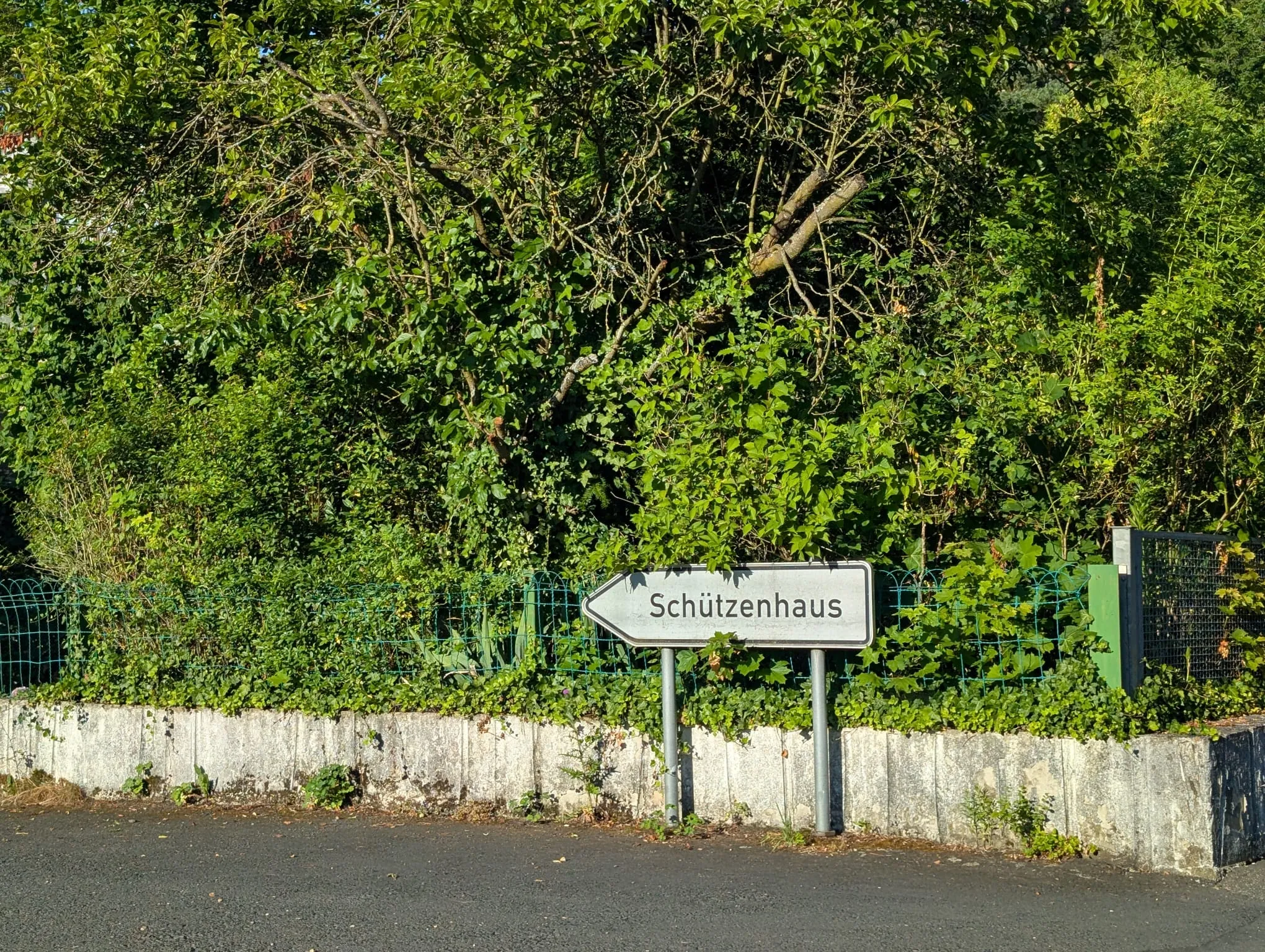 Schützenclub Sandershausen